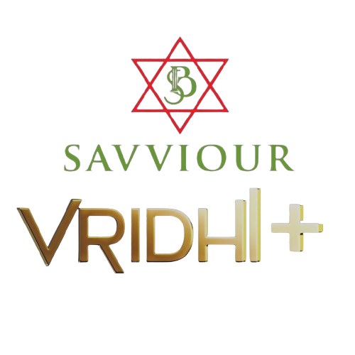 Saviour Vridhi builder logo